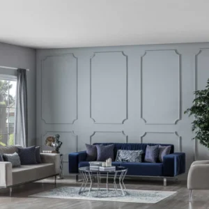 Latest Design Sofa For Drawing Room With Beautiful Color theme.